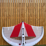 Vayu Aura 3M wing